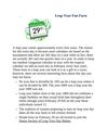 Leap Year Fun Facts