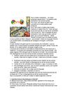 Reportatge dels ordinadors