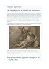 HISTOIRE DE L'ARME DES TRANSMETTEURS