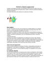 historia de la salud ocupasional presentado por leidy julieth bohorque mejia