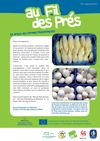 Le chicon et le champignon