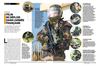 Dossier FELIN SAFRAN