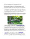 Alcohol treatment programs