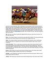 Horse Betting - Types of Bets To Try Every May