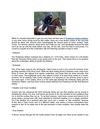 An Essential Guideline to Preakness Stakes Betting