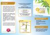 ayam_depliant_presentation