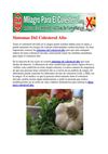 colesterol tratamiento natural - comida para reducir el colesterol- bajar colesterol