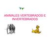 Animales vertebrados e invertebrados