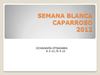 Semana Blanca 2.012