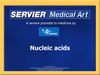 Nucleic_acids