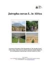 Jatropha Curcas Oil in Africa