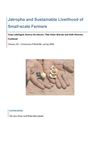 Jatropha and Sustainable Livelihood of Small-scale Farmers 