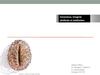 Conscience, imagerie cérébrale et méditation