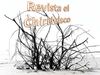 Revista Literatura Luis Rolando Nuñez Coto