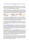 Wear Popular Gucci and Oliver Peoples Sunglasses to be a Style Icon