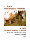 Dan Doman - O cărare prin ierburile toamnei
