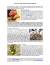 Tips for Your Exotic Wedding Flowers Arrangement