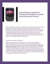 Unique application blackberry development mandatory to uphold corporate business presence