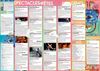 Programmation Festival Printemps d'Europe 2012