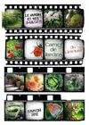 Carnet de jardins saison 2012