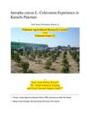 Jatropha Curcas Cultivation Experience in Karachi Pakistan