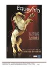 Equestria 2012 (24-29 juillet au Haras national de Tarbes)