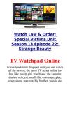 Watch Law & Order Special Victims Unit Season 13 Episode 22 Strange Beauty