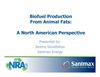 Biofuel Production From Animal Fats 