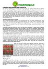Collecting and Filtering Used Cooking Oil 