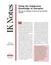 Using the Indigenous Knowledge of Jatropha: The Use of Jatropha Curcas Oil as Raw Material and Fuel 
