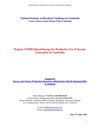 Rural Energy for Productive Use and Income Generation in Cambodia 