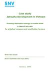Jatropha Development in Vietnam: Growing Alternative Energy on Waste Lands By Smallholder Farmers 