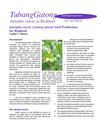 Jatropha Curcas: Seed Production for Biodiesel 