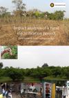 Impact of a Jatropha Fuelled Electrification Project 