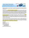 Search Engine Optimization Company Delhi,Search Engine Optimization Delhi, Search Engine Optimization Services Delhi