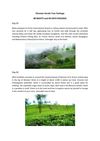 Discover Kerala Tour Package