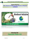Biodiesel Initiative: Fuel for the Future Generation - Pakistan 
