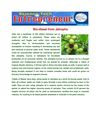 Bio-Diesel from Jatropha 