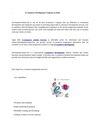 E-commerce Development Company in India