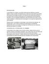 OK tema 1 grado 9: B integrantes: