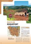40-55-PAYS DE ROQUEFORT-2012