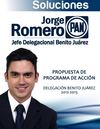 Propuesta de Programa de Acción Delegación Benito Juárez JRH 2012-2015