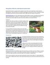 Best Garden Beds_5-2-12_Being More Effective with Raised Garden Beds_Steve
