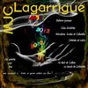 Plaquette MJC Lagarrigue : Saison 2012-2013