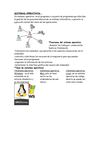 Trabajo de informatica