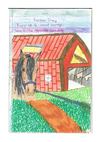 Katie et le cheval sauvage