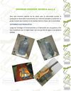 INFORME MUSICA 2012 A