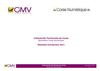 Baromètre Corse Numérique 2011 - Rapport Entreprises