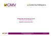 Baromètre Corse Numérique 2011 - Rapport Communes
