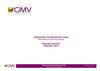 Baromètre Corse Numérique 2011 - Rapport Tourisme